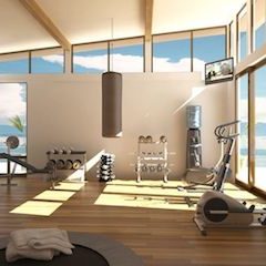 Home or Office Gym Training